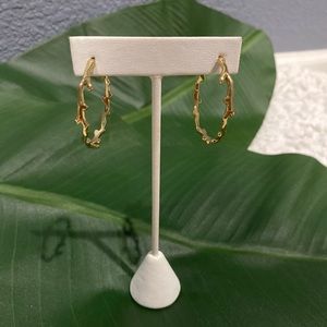 Stella and Dot Gold Hoop Earrings